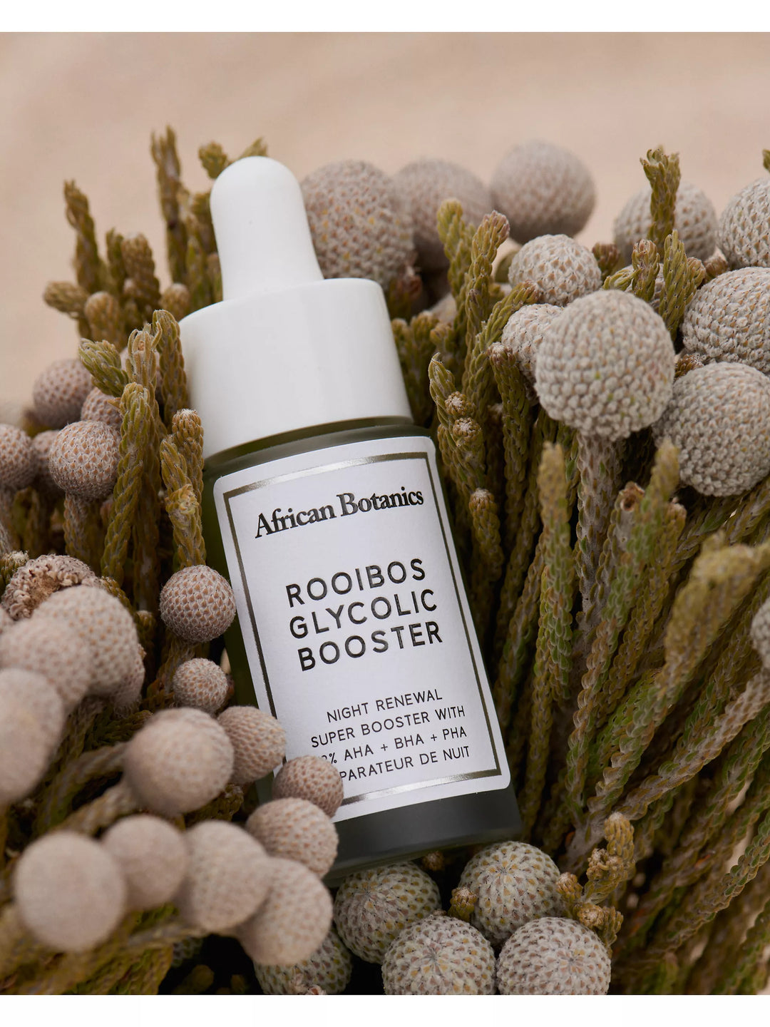 African Botanics Rooibos Glycolic Booster